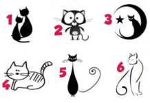 Тест: узнайте секреты своей личности с помощью кошки