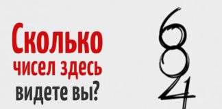 Тест: проверьте свою внимательность