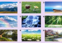 Тест: узнайте об уникальности своей личности