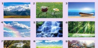 Тест: узнайте об уникальности своей личности