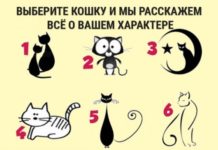 Тест: узнайте особенности своего характера