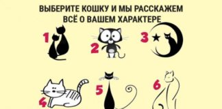 Тест: узнайте особенности своего характера