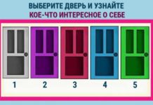 Тест: узнайте, какой вы человек