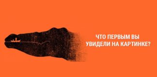 Пройдите психологический тест и узнайте, насколько вы агрессивны