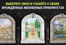 Тест: узнайте о своих приоритетах, которые у вас с рождения