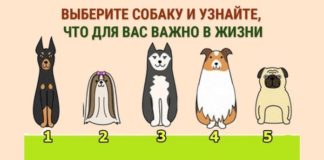 Тест: узнайте, что для вас главное в жизни