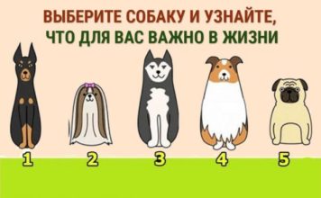 Тест: узнайте, что для вас главное в жизни