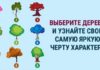 Тест: узнайте о яркой черте вашего характера