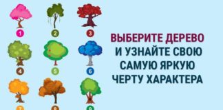Тест: узнайте о яркой черте вашего характера