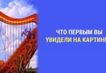 Тест: узнайте, в чем ваша уникальность