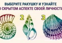 Тест: узнайте о скрытой черте вашего характера