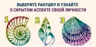 Тест: узнайте о скрытой черте вашего характера