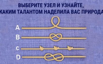 Тест: узнайте о своих скрытых талантах
