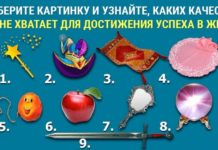Тест: узнайте, какие качества вам нужны для достижения успеха