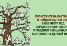 Тест: узнайте, что желает ваша душа