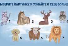 Тест: узнайте о своей яркой черте характера