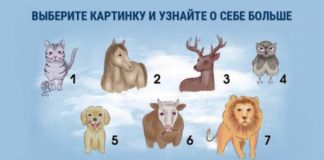 Тест: узнайте о своей яркой черте характера