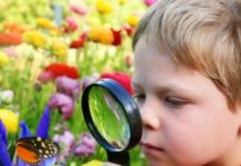 Тест для самых любознательных, способных сразу отличить правду ото лжи