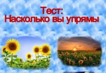 Тест: выберите подсолнух и узнайте, насколько вы упрямы