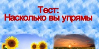 Тест: выберите подсолнух и узнайте, насколько вы упрямы