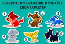 Тест: узнайте свой характер