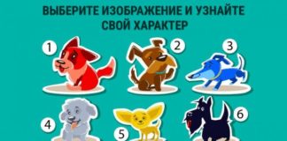 Тест: узнайте свой характер