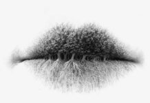 Пройдите психологический тест и откройте собственные уникальные личностные качества