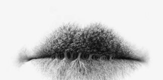 Пройдите психологический тест и откройте собственные уникальные личностные качества