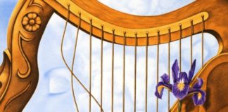 Тест: выберите элемент на картинке, который определит, в чём ваша уникальность