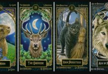 Тест: узнайте, какой вы человек, выбрав карту с животным