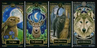 Тест: узнайте, какой вы человек, выбрав карту с животным