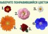 Тест: узнайте насколько вы женственная с помощью цветов.