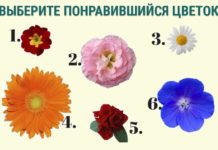 Тест: узнайте насколько вы женственная с помощью цветов.