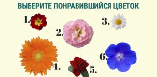 Тест: узнайте насколько вы женственная с помощью цветов.