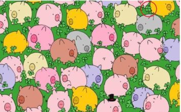 Пройдите этот тест и узнайте, достаточно ли вы наблюдательны