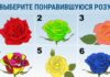 Тест: узнайте скрытые качества характера с помощью розы