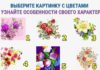 Тест: узнайте особенности своего характера с помощью цветов.