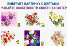 Тест: узнайте особенности своего характера с помощью цветов.