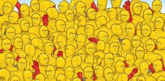 Пройдите специальный тест, который покажет, насколько высок ваш уровень наблюдательности