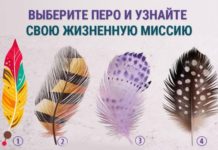 Тест: узнайте свою жизненную цель с помощью пера