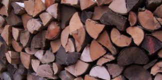 Узнайте, на что вы способны: отыщите незаметный элемент на картинке