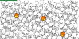 Тренировка внимательности: отыщите привидение за короткое время