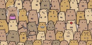 Проверьте, сумеете ли вы отыскать картофель, спрятавшийся среди хомячков