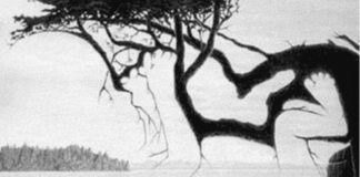 Узнайте, насколько вы внимательны, взглянув на оптическую иллюзию