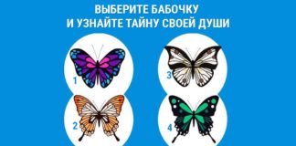 Тест: узнайте тайные качества своей души с помощью бабочек.