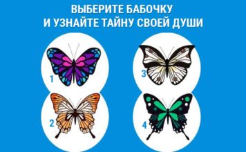 Тест: узнайте тайные качества своей души с помощью бабочек.