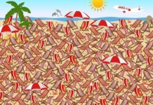 Тест на внимательность: отыщите среди шезлонгов лыжи