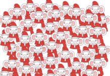 Проверьте свою внимательность и найдите слона в берете