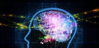 Тест: если ответите хотя бы на 70% вопросов, то ваш IQ наверняка выше среднего