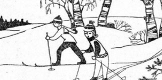 Тест на внимательность: найдите зайца, спрятавшегося в зимнем лесу